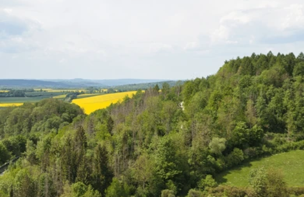 Halberstadt